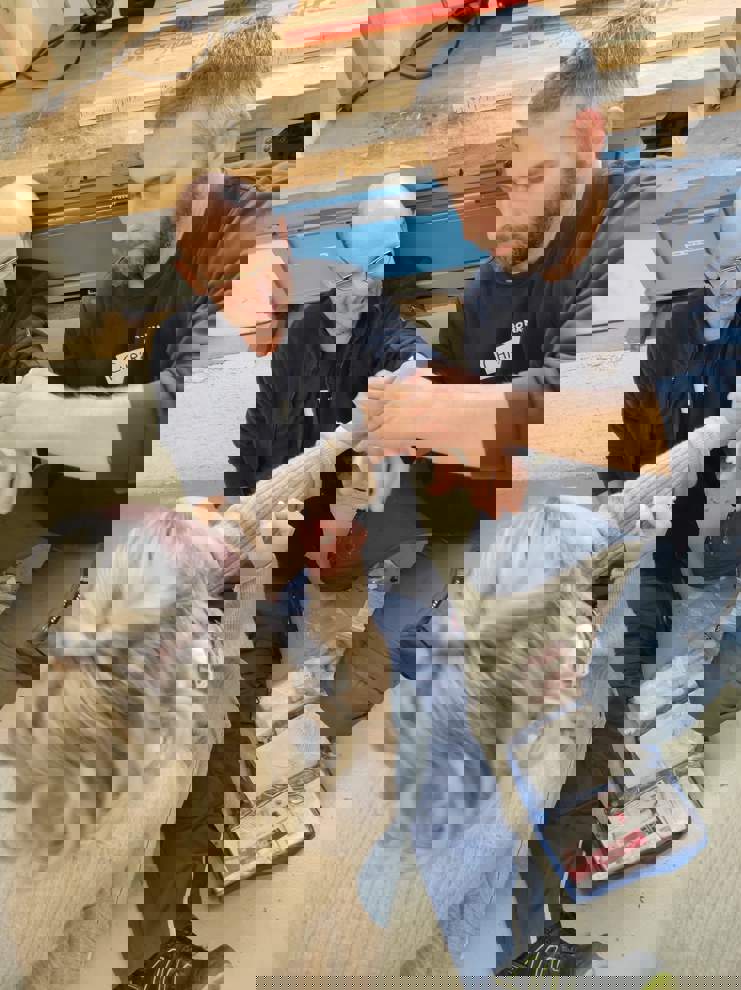 6471E7d3 9D0b 43A1 80B5 73Bb17d5ad01